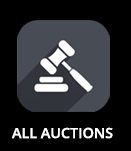 All Auctions